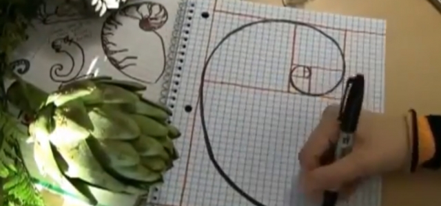 Забавна математика – Рисуване по математика: Спирали, Фибоначи и Растения